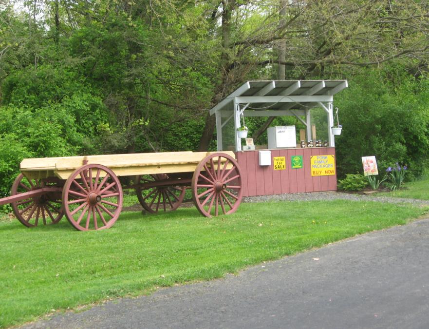 Field