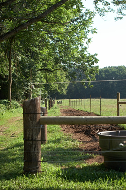 fence